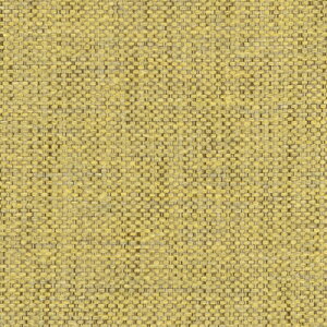 yiEXցjzTQc ֎qn 2024-2028 UP ANAN[ jgAC UP5521 ` UP5536 y1mȏ10cmPʂł̔̔z