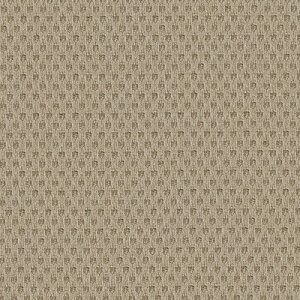 yi1s3jzTQc ֎qn 2024-2028 UP [ UP5642 ` UP5651 y1mȏ10cmPʂł̔̔z