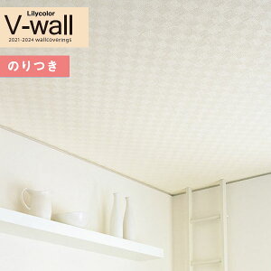 yiEXցjzǎ ̂tǎ NX JV-wall 2021-2024LV-3200 V y3mȏ1mPʂł̔̔z