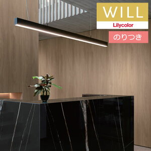 yiEXցjẑtǎ NX J will EB 2023-2026 }eA LW-201 y3mȏ1mPʂł̔̔z