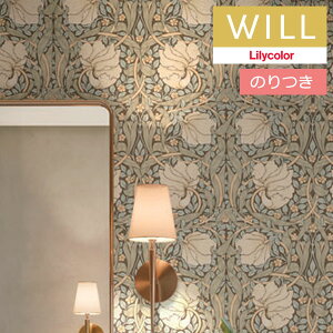 yiEXցjẑtǎ NX J will EB 2023-2026 V&A EBAEX Pimpernel sp[l LW-89 y3mȏ1mPʂł̔̔z