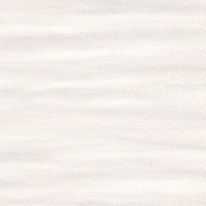 yi1s3jẑtǎ NX J will EB 2023-2026 p^[ LW-312 ` LW-313 y3mȏ1mPʂł̔̔z