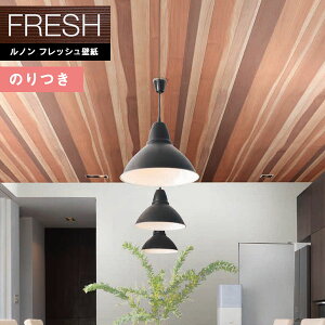 yiEXցjzǎ ̂tǎ NX mtbV2022-2025 FRESH fUCRNV Ebh RF-8397 y3mȏ1mPʂł̔̔ẑǎ