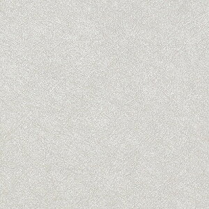 �y�����������i��EX�ցj�z �ǎ� �̂�t���ǎ� �N���X �T���Q�c FAITH �t�F�C�X 2025-2028 Texture&Color TH34276 �` TH34280 �y3m�ȏ�1m�P�ʂł̔̔��z�̂��