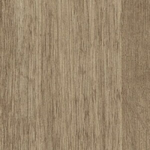 yiEXցjzǎ ̂tǎ NX TQc t@C FINE 2023-2026 ؖ FE76585 FE76586 y3mȏ1mPʂł̔̔ẑ