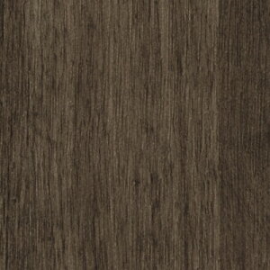 yiEXցjzǎ ̂tǎ NX TQc t@C FINE 2023-2026 ؖ FE76585 FE76586 y3mȏ1mPʂł̔̔ẑ