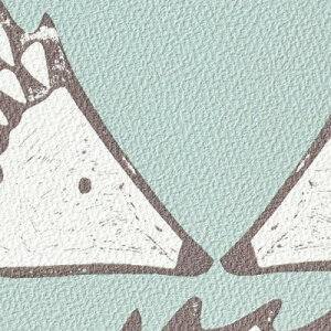 yiEXցjzǎ ̂tǎ NX TQc t@C FINE 2023-2026 scion TCI FE76737 FE76738 y3mȏ1mPʂł̔̔ẑ