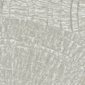 yiEXցjzǎ ̂tǎ NX TQc t@C FINE 2023-2026 _ FE76753 FE76754 FE76755 y3mȏ1mPʂł̔̔ẑ