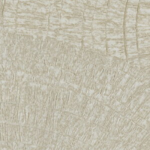 yiEXցjzǎ ̂tǎ NX TQc t@C FINE 2023-2026 _ FE76753 FE76754 FE76755 y3mȏ1mPʂł̔̔ẑ