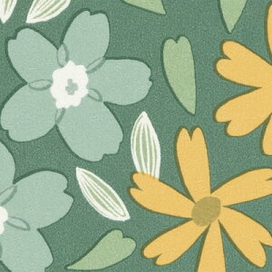 yiEXցjzǎ ̂tǎ NX TQc t@C FINE 2023-2026 kEJWA kippis LbsX FE76831 FE76832 y3mȏ1mPʂł̔̔ẑ