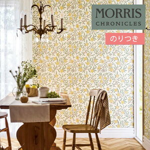 yi1s3jzǎ ̂tǎ NX TQc X NjNY FRUIT t[c MCW114 y3mȏ1mPʂł̔̔ẑǎ