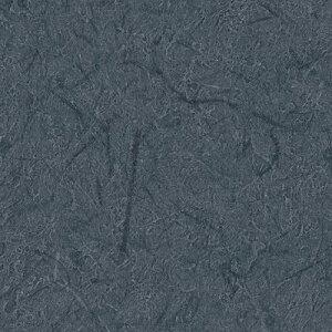 yi1s3jzǎ ̂tǎ NX TQc ReSERVE U[u 2024-2027 a RE55691 ` RE55696 y3mȏ1mPʂł̔̔ẑ