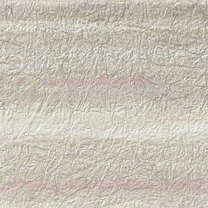 yiEXցjzǎ ̂tǎ NX TQc ReSERVE U[u 2024-2027 a RE55705 ` RE55706 y3mȏ1mPʂł̔̔ẑ