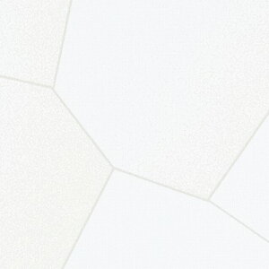 【*送料無料(わEX便)】壁紙 のり付き壁紙 クロス サンゲツ ReSERVE リザーブ 2024-2027 パターン SMALL CRACK RE55884 〜 RE55885 【3m以上1m単位での販売】のりつき