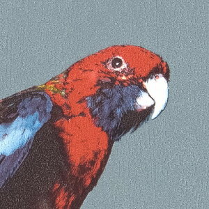 yi1s3jzǎ ̂tǎ NX TQc ReSERVE U[u 2024-2027 Ȋw  Birds RE55942 y3mȏ1mPʂł̔̔ẑ