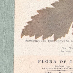 yiEXցjzǎ ̂tǎ NX TQc ReSERVE U[u 2024-2027 Ȋw A Plants RE55943 y3mȏ1mPʂł̔̔ẑ