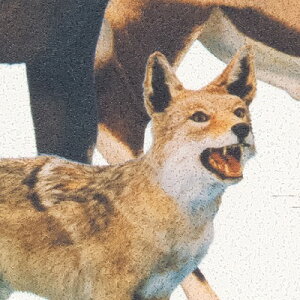 yiEXցjzǎ ̂tǎ NX TQc ReSERVE U[u 2024-2027 Ȋw M Beasts RE55947 y3mȏ1mPʂł̔̔ẑ