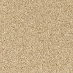 yi1s3jzǎ ̂tǎ NX TQc tH[Abv 2024-2027 ANZg̕ǎ 77-4071 ` 77-4083 y3mȏ1mPʂł̔̔z