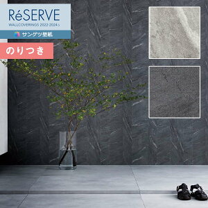 yiEXցjzǎ ̂tǎ NX TQc ReSERVE U[u 2022-2024 process#100 XgC^ RE53023`RE53024 y3mȏ1mPʂł̔̔ẑǎ