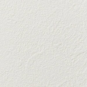 yiEXցjzǎ ̂tǎ NX TQc SP2023-2025 ʎY^Cv V[Y Ζ SP9725`SP9745 y3mȏ1mPʂł̔̔ẑǎ