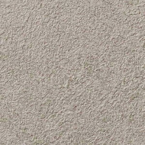 yiEXցjzǎ ̂tǎ NX TQc SP 2025-2027 ʎY^Cv V[Y SP2550 ` SP2569 y3mȏ1mPʂł̔̔ẑǎ