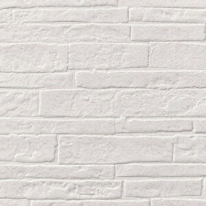 yiEXցjzTQc ǎ ̂tǎ NX 20m X^_[hǎ Ȃ݃V[Y SP 2025-2027uĂ݂Zbgv ǎ20m{HZbg{\}jAt