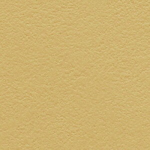 yiEXցjzTQc ǎ ̂tǎ NX 20m X^_[hǎ Ȃ݃V[Y SP 2025-2027uĂ݂Zbgv ǎ20m{HZbg{\}jAt