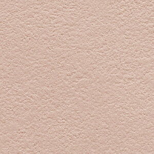 yiEXցjzTQc ǎ ̂tǎ NX 20m X^_[hǎ Ȃ݃V[Y SP 2025-2027uĂ݂Zbgv ǎ20m{HZbg{\}jAt