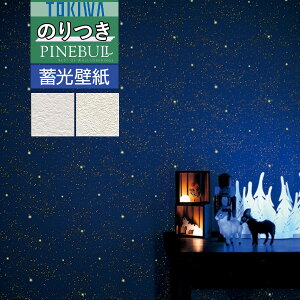 yi1s3jzǎ ̂tǎ NXgL TOKIWA PINEBULL pCu 2021-2023X^C ~ǎTWP1148 TWP1149y3mȏ1mPʂł̔̔ẑ Еt Ђ