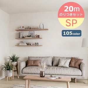 yiEXցjzTQc ǎ 20m ̂tǎ NX Zbg X^_[hǎ SPʎY \}jAt S105F SP9701 ` SP9805