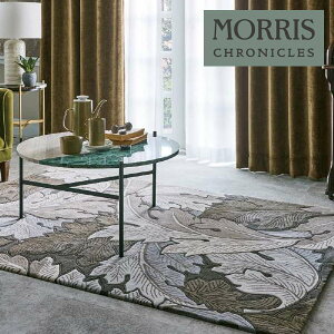 yzy[EX֑ΏہzTQc XNjNY O ACANTHUS AJTX MCG342S y1Pʂł̔̔z