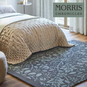 yzy[EX֑ΏہzTQc XNjNY O TRIPLE NETgv lbg MCG345S y1Pʂł̔̔z