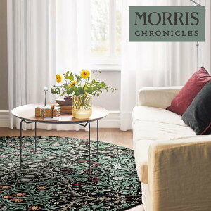 yzy[EX֑ΏہzTQc XNjNY O BLACKTHORN ubN\[ MCG350M y1Pʂł̔̔z