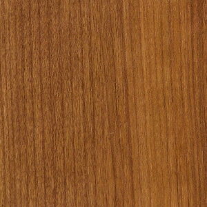 yiEXցjzTQc AebN 2024-2026 vol.12 JbeBOV[g SV[g WOOD Ebh S23F TC-4254 ` TC-5443 y1mȏ10cmPʂł̔̔z