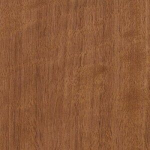 yiEXցjzTQc AebN 2024-2026 vol.12 JbeBOV[g SV[g WOOD Ebh S23F TC-4254 ` TC-5443 y1mȏ10cmPʂł̔̔z