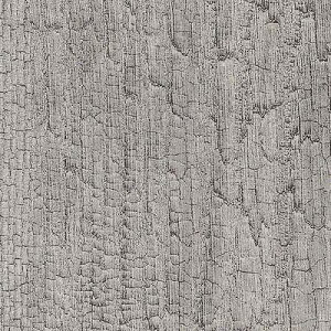 yi1s3jzTQc AebN 2024-2026 vol.12 JbeBOV[g SV[g WOOD Ebh S11F TC-4151 ` TC-5058 y1mȏ10cmPʂł̔̔z