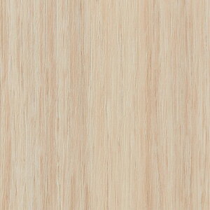 yi1s3jzTQc AebN 2024-2026 vol.12 JbeBOV[g SV[g WOOD Ebh S21F TC-4164 ` TC-5439 y1mȏ10cmPʂł̔̔z