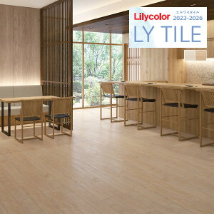 yzy[EX֑ΏہzJ GC^C 2023-2026 +JAPAN R LYT84001 LYT84002 y1P[X(24)Pʂł̔̔z LY^C / tA^C