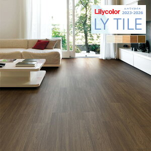 yzy[EX֑ΏہzJ GC^C 2023-2026 WOOD i`I[N LYT84046 ` LYT84051 y1P[X(24)Pʂł̔̔z LY^C / tA^C / Ebh