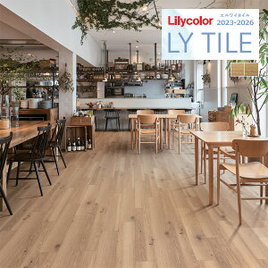 yzy[EX֑ΏہzJ GC^C 2023-2026 WOOD mfBbNI[N LYT84064 LYT84065 y1P[X(24)Pʂł̔̔z LY^C / tA^C / Ebh