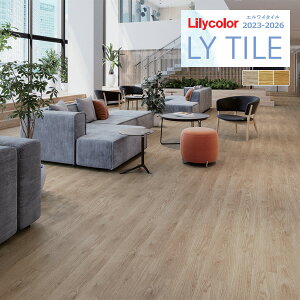 yzy[EX֑ΏہzJ GC^C 2023-2026 WOOD i`I[N LYT84069 ` LYT84071 y1P[X(24)Pʂł̔̔z LY^C / tA^C / Ebh / mbNX