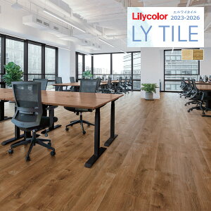 yzy[EX֑ΏہzJ GC^C 2023-2026 WOOD I[KjbNI[N LYT84072 LYT84073 y1P[X(24)Pʂł̔̔z LY^C / tA^C / Ebh / mbNX