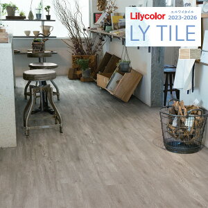 yzy[EX֑ΏہzJ GC^C 2023-2026 WOOD Vr[I[N LYT84084 LYT84085 y1P[X(24)Pʂł̔̔z LY^C / tA^C / Ebh