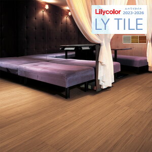 yzy[EX֑ΏہzJ GC^C 2023-2026 WOOD `[N LYT84095 LYT84096 LYT84097 y1P[X(24)Pʂł̔̔z LY^C / tA^C / Ebh