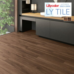 yzy[EX֑ΏہzJ GC^C 2023-2026 WOOD XbNEH[ibg LYT84107 LYT84108 y1P[X(24)Pʂł̔̔z LY^C / tA^C / Ebh