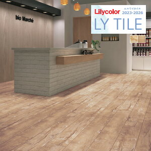 yzy[EX֑ΏہzJ GC^C 2023-2026 WOOD I[hyA LYT84116 LYT84117 y1P[X(14)Pʂł̔̔z LY^C / tA^C / Ebh