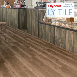 yzy[EX֑ΏہzJ GC^C 2023-2026 WOOD Jg[I[N LYT84130 LYT84131 y1P[X(14)Pʂł̔̔z LY^C / tA^C / Ebh