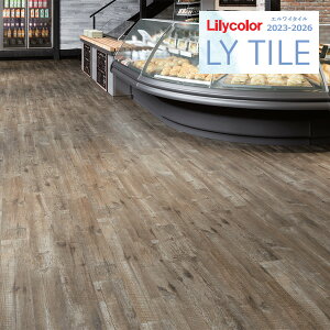 yzy[EX֑ΏہzJ GC^C 2023-2026 WOOD GCWhpC LYT84140 y1P[X(24)Pʂł̔̔z LY^C / tA^C / Ebh / mbNX