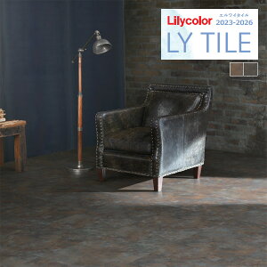 yiEXցjzJ GC^C 2023-2026 STONE ILTCh LYT84192 LYT84193 y18ȏ1Pʂł̔̔z LY^C / tA^C / Xg[