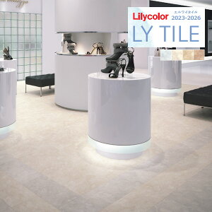 yiEXցjzJ GC^C 2023-2026 STONE Ivi LYT84194 LYT84195 LYT84196 LYT84197 y18ȏ1Pʂł̔̔z LY^C / tA^C / Xg[